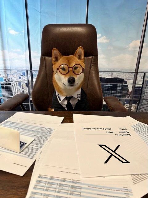 كيفية بيع Flōki ceo of x (￥FLŌKI)
