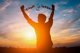 freedom for all the coins (freedom) qanday sotiladi