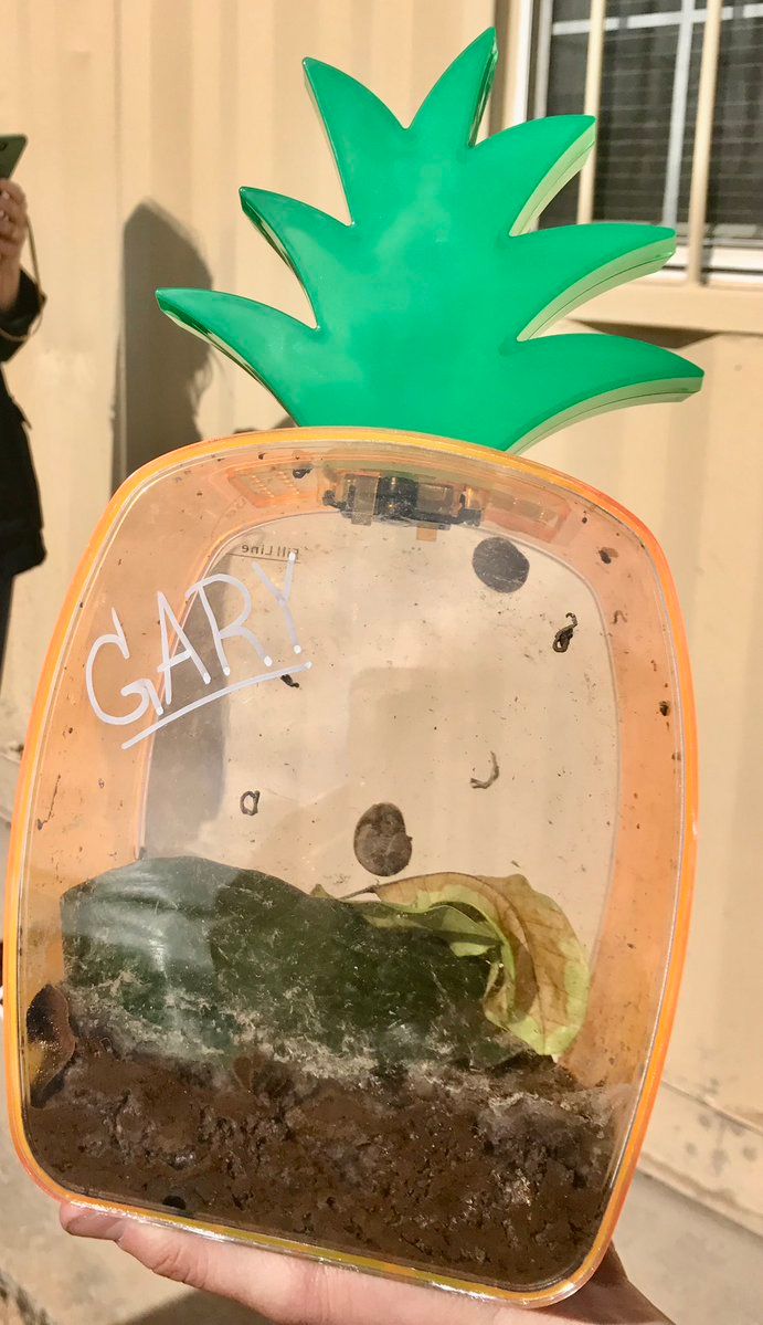 ¿Qué es gary the snail(gary)?