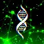 Gene(GENE)轉換器與計算器