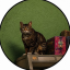 Nədir GTA6CAT (thegta6cat.com)(GATO)