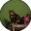 GTA6CAT (thegta6cat.com) price