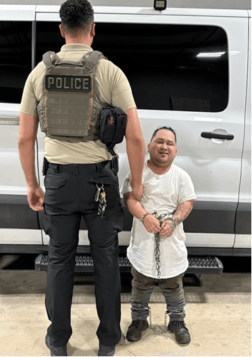 Guatemalan Dwarf Pedo