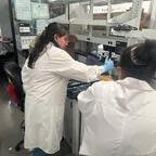 أداة تحويل وحاسبة عملة HAIRDAO LABORATORY (LAB)