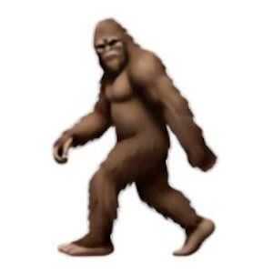 ¿Qué es Hairy Creature(HAIRY)?