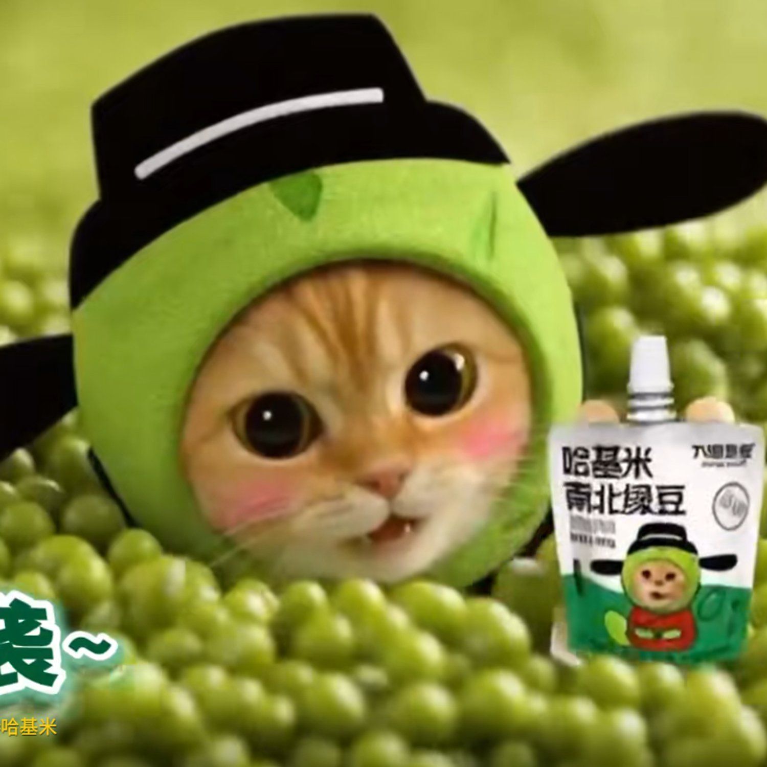 Hakimi Hajimi(哈基米)とは