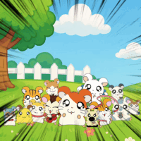 Cena HAMTARO