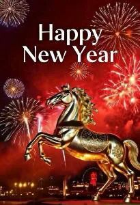 Was ist Happy New Year(HNY)