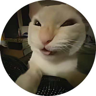 Prezzo di Hehe Cat