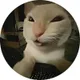 Cena Hehe Cat