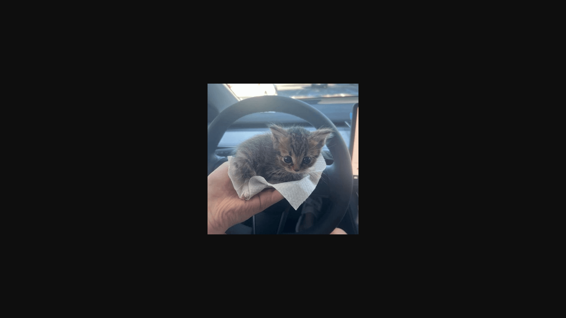 Hi Coco