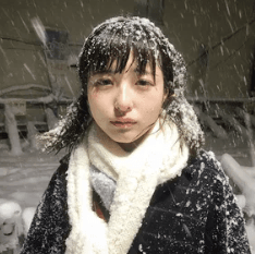 Apa itu Husbant(Husbant)