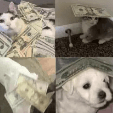 Ціна i'll put a hundred