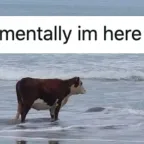 Conversor e calculadora de I'm Here (Mentally)