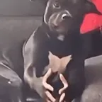 Конвертер і калькулятор if you grab me imma bite you (DAWG)