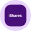 iShares A.I. Innovation and Tech Active ETF Tokenized ETF (Ondo)（BAIon）转换器和计算器