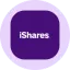 iShares China Large-Cap Tokenized ETF (Ondo) (FXIon) converter and calculator