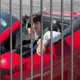 Harga Jail Valentin Lopez