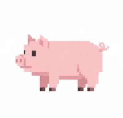 How to sell JPEG CTO ($JPEG)