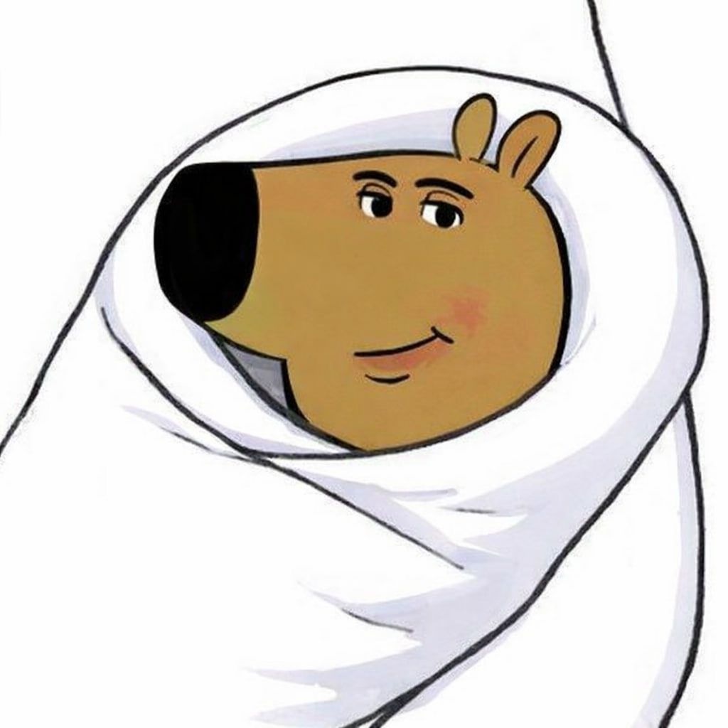 What is Just a BEPE Guy(BEGUY)