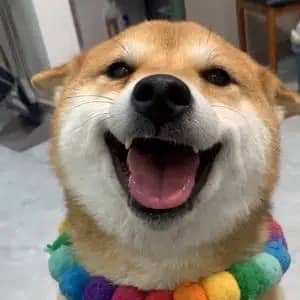 什麼是 Justice for 王佩奇(王佩奇)