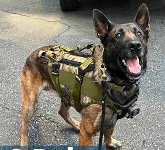 Preço de K-9 Bubo