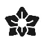KAIKO (KAI) converter and calculator