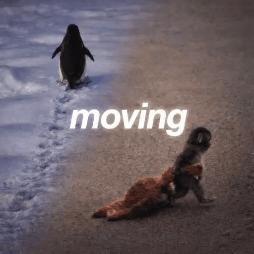 Keep Moving