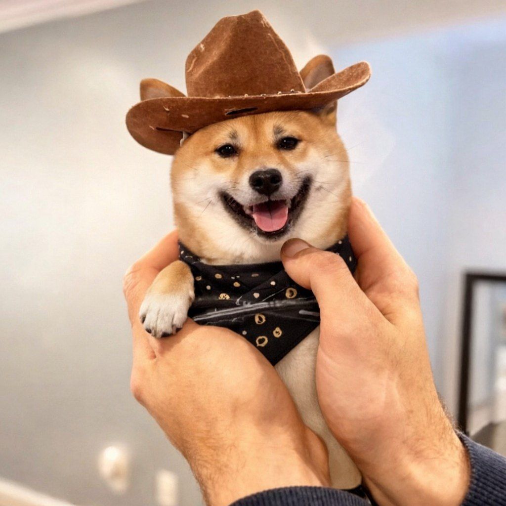 Was ist Kimchi the Squirrel(Kmch)