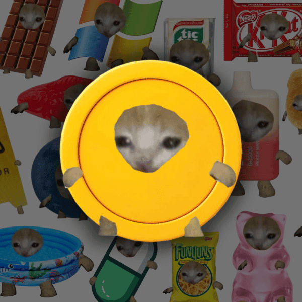 Prezzo di kitty
