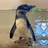 KODI