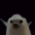 low quality hedgehog (ned)コンバーターと計算機