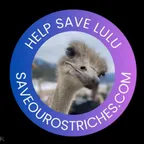 Convertitore e calcolatore di Lulu The Ostrich (Lulu)