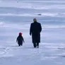 Make Penguins Great Again