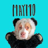 What is MAYMO(MAYMO)