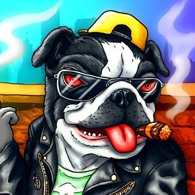 What is MC DOG(MC DOG)