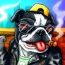 MC DOG