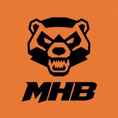 Apa itu MEGA HONEY BADGERS(MHB)