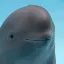 أداة تحويل وحاسبة عملة Miharu The Smiling Dolphin ($MIHARU)
