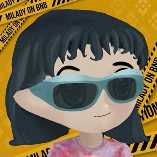 Что такое Milady(MILADY)