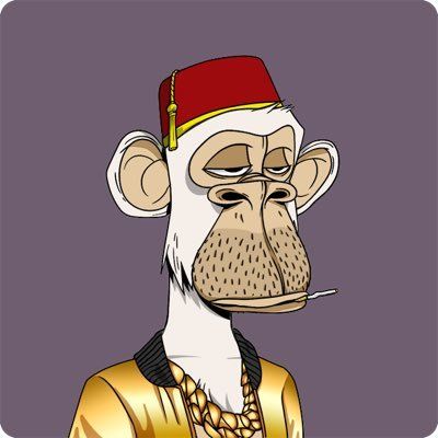 Mo Ezeldin ⦿⦿⦿ Preis