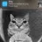 MOtionCat