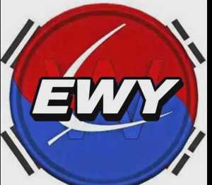 What is MSCI South Korea ETF(EWY)