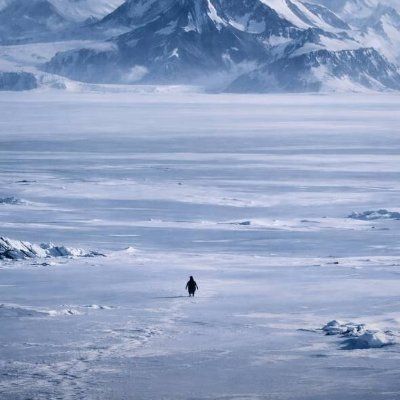 Nietzschean NPENG on(NPENG) là gì?