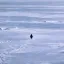 Конвертер і калькулятор Nietzschean Penguin (PENGUIN)