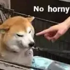 Konverter dan kalkulator NO HORNY (PON)