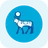 RNVO