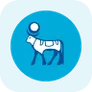 Novo Nordisk A/S