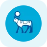 Novo Nordisk A/S