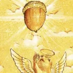 nut god (NUTGOD) Konverter und Rechner